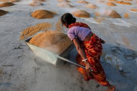 A worker carries boiled rice in a wheelbarrow for drying at a rice mill on the outskirts of Kolkata