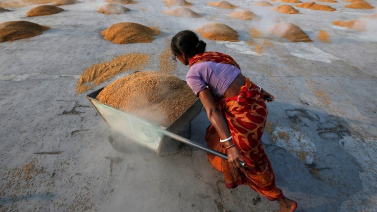 A worker carries boiled rice in a wheelbarrow for drying at a rice mill on the outskirts of Kolkata