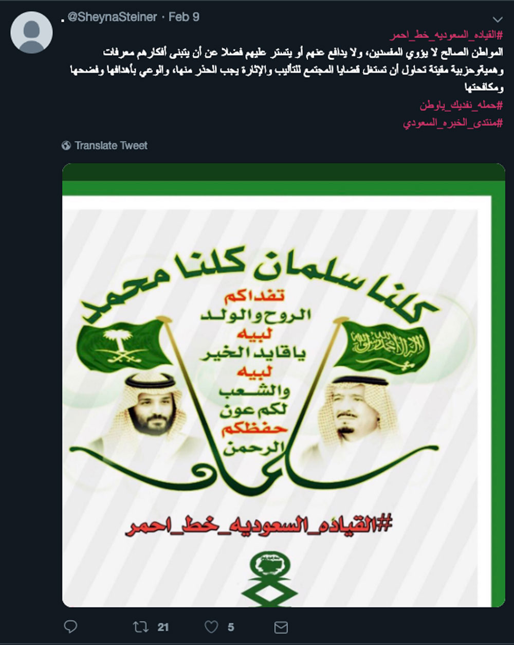  Steiner's account has posted tweets promoting Saudi leaders [Al Jazeera]