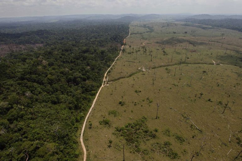 Deforested area near Novo Progresso in Brazil''s northern state of Para