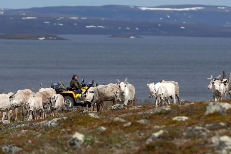 FILE PHOTO: Sami reindeer herder Nils Mathis Sara, 60, drives his ATV as he follows a herd of reindeer on the Finnmark Plateau, Norway, June 16, 2018. REUTERS/Stoyan Nenov/File Photo
