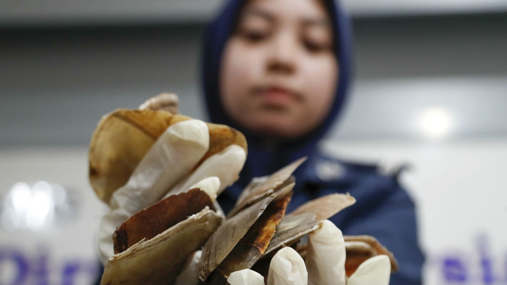 A Malaysian Customs official holds pangolin scales that were seized at the Kuala Lumpur airport in 2017 [Vincent Thian/AP Photo]