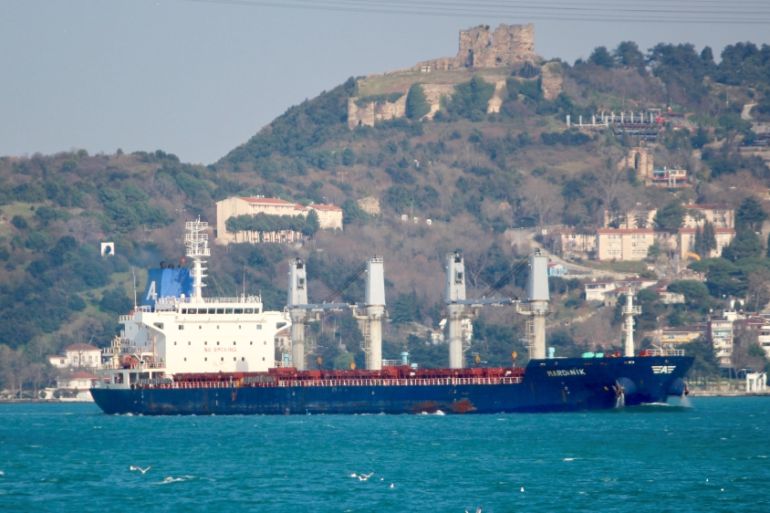 Marshall Islands-flagged bulk carrier Mardinik sails in the Boshorus in Istanbul