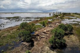 According to authorities, thousands remain stranded ''in very bad shape'' on roofs and trees in hard-hit Mozambique. [Joost Bastmeijer/Al Jazeera]