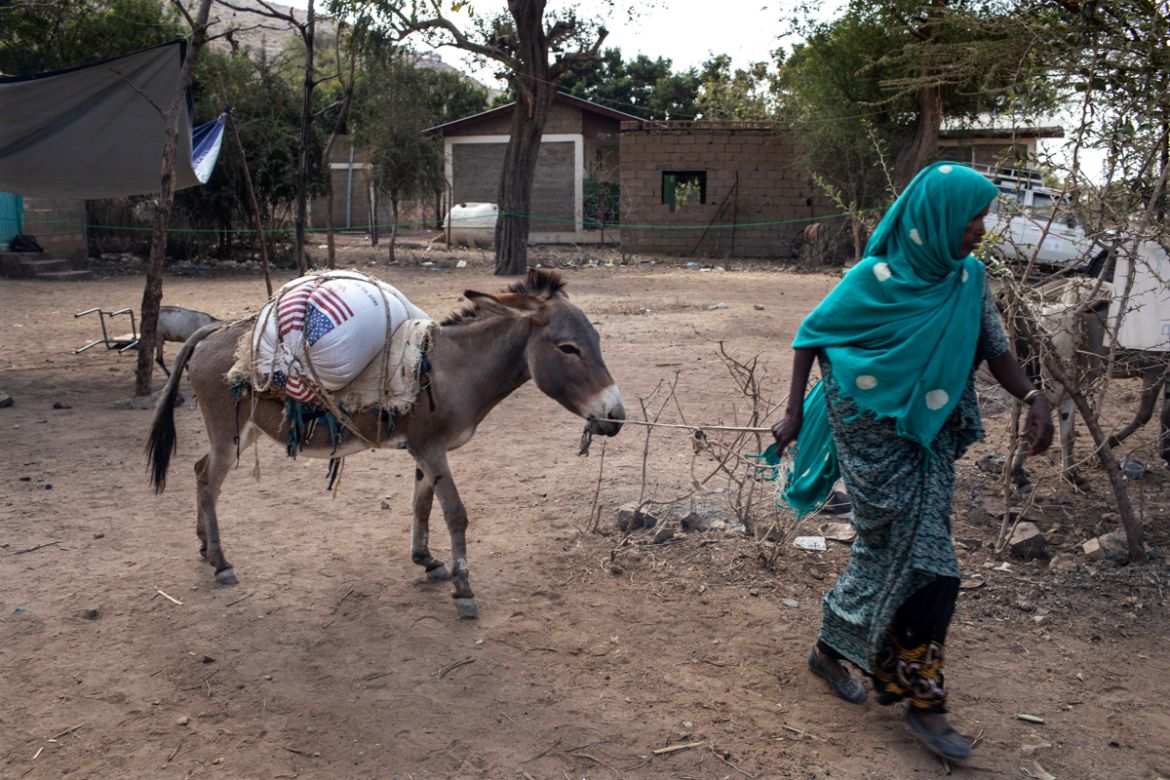 A woman uses a donkey to transport her rations of wheat from a distribution point in Ejianeni, in rural Dire Dawa administration, Ethiopia, on February 10, 2019. “For the drought-affected population,
