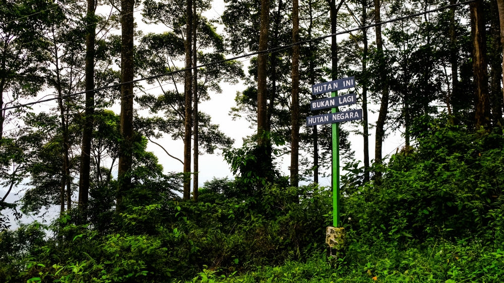 
An indigenous-managed forest in the west of Java. The sign reads 'This forest no longer belongs to the state'. Despite the environmental problems facing Indonesia, the environment is not an electoral issue [Kate Walton/Al Jazeera]
