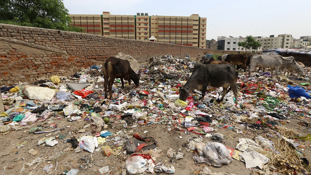 One of the many rubbish dumps across New Delhi [Amarjeet Singh/Al Jazeera]
