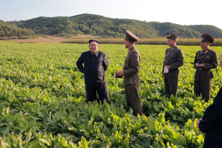 North Korean leader Kim Jong Un visits a Farm No. 1116 of KPA Unit 810