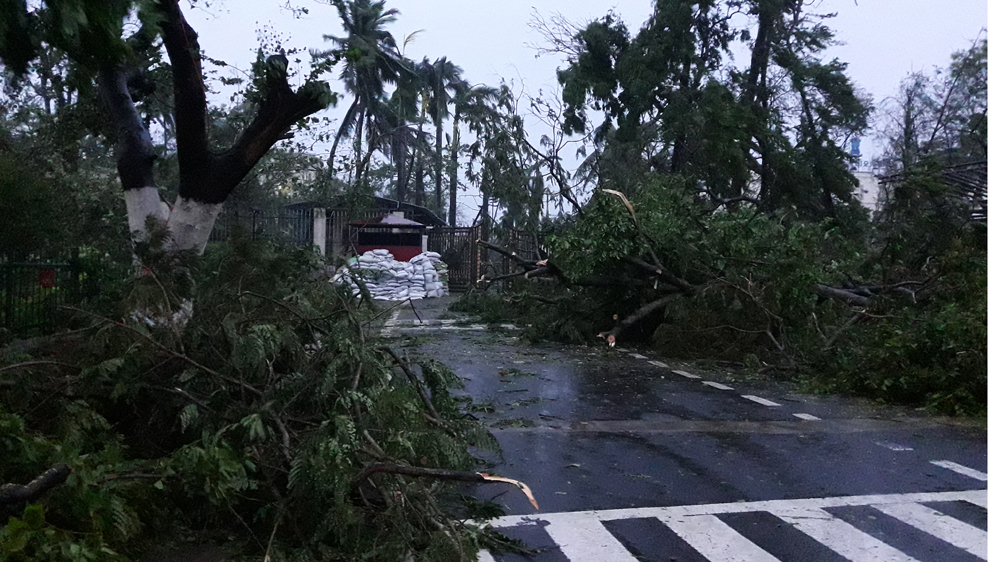 Trees blocked roads and downed electricity lines in Bhubaneswar, Odisha [Subrat Kumar Pati/Al Jazeera] 