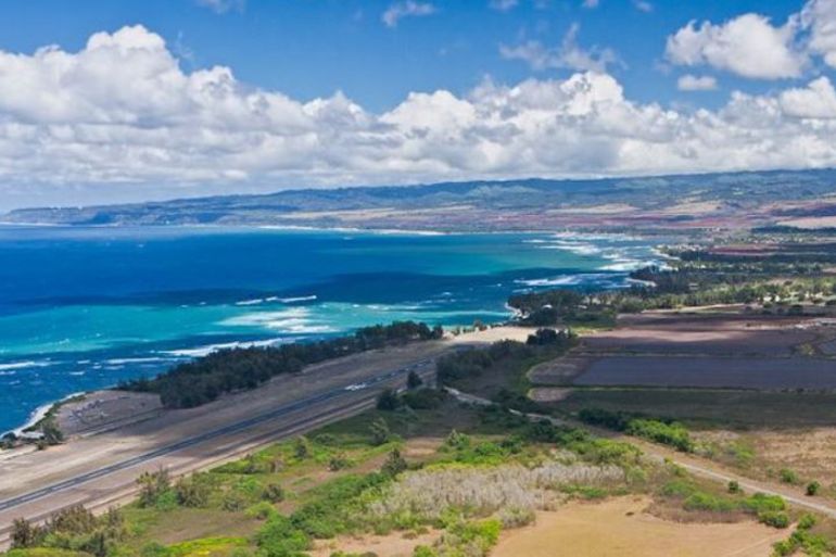 Dillingham Airfield, on Oahu''s North Shore, Hawaii