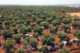 Atmah olive groves Syria refugees