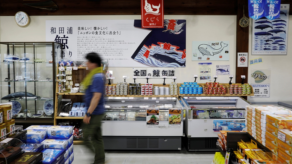 Japan whale products shop
