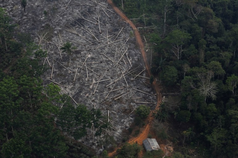 An aerial view of a deforested plot of the Amazon at the Bom Futuro National Forest in Porto Velho