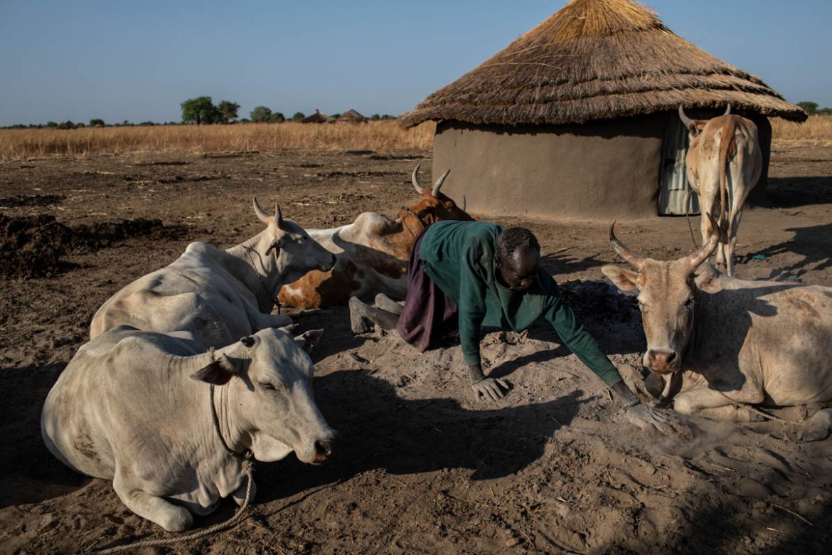James Jongkuch Nyang gathers up cow manure to dry for fuel on his homestead in Ruar Leek village, on April 5, 2019. James prefers to keep his cattle on his homestead rather than take them to the river