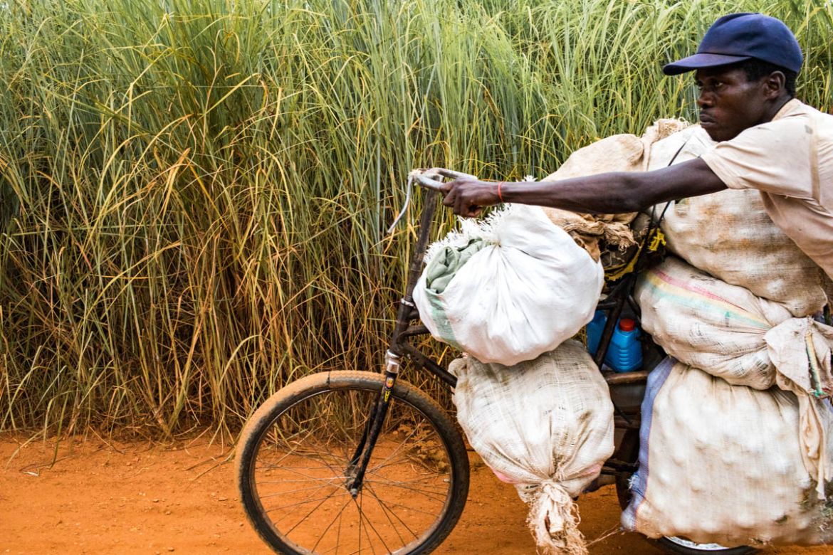 A man pushes a bike loaded with bags on a red sand track in the middle of the bush. These men come from isolated villages by pushing their bicycles for several days to sell their agricultural products