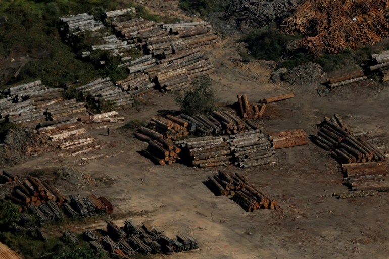 Piles of wood in the southern region of the state of Amazonas, Brazil, July 27, 2017
