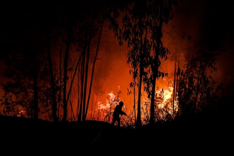 Firefighters battle wildfires in central Portugal