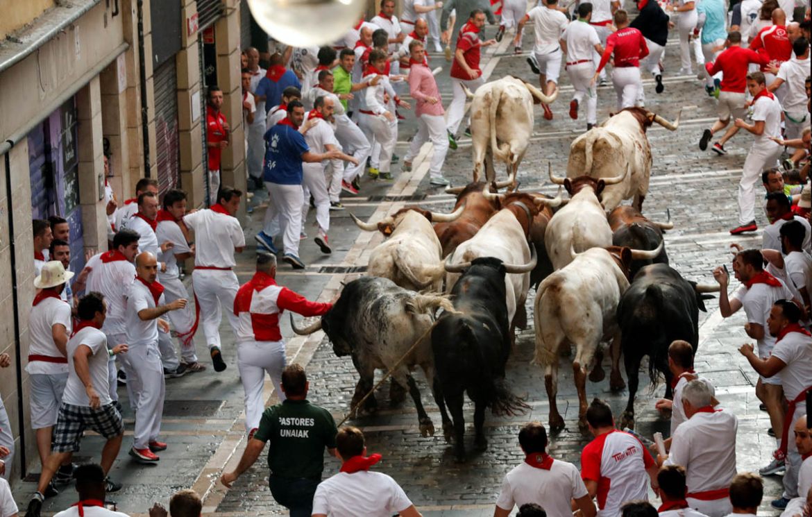 Revellers sprint near bulls and steers during the second running of the bulls at the San Fermin festival in Pamplona, July 8. REUTERS/Susana Vera