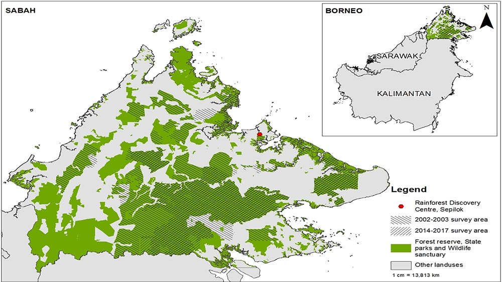 Malaysia Sabah orangutans