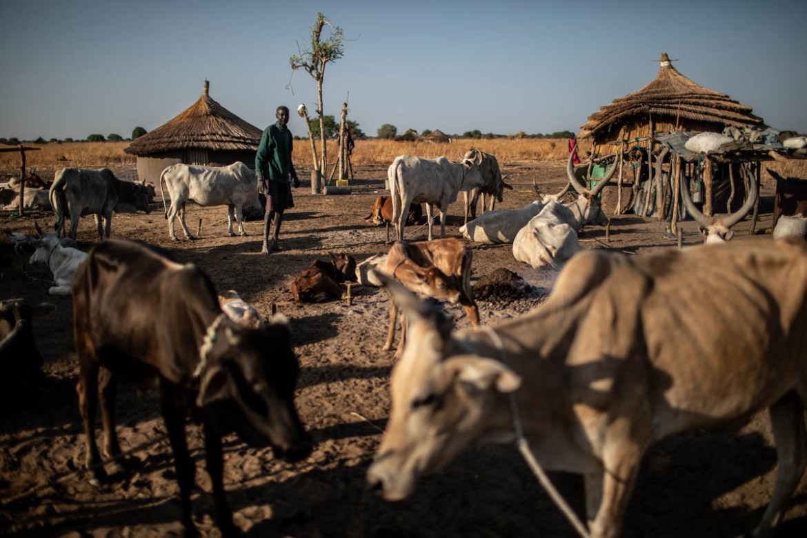 James Jongkuch Nyang, 55, walks amongst his cattle in Ruar Leek village, Bor county, Jonglei State, South Sudan, April 5, 2019. A more substantial local water source could help pastoralists like James