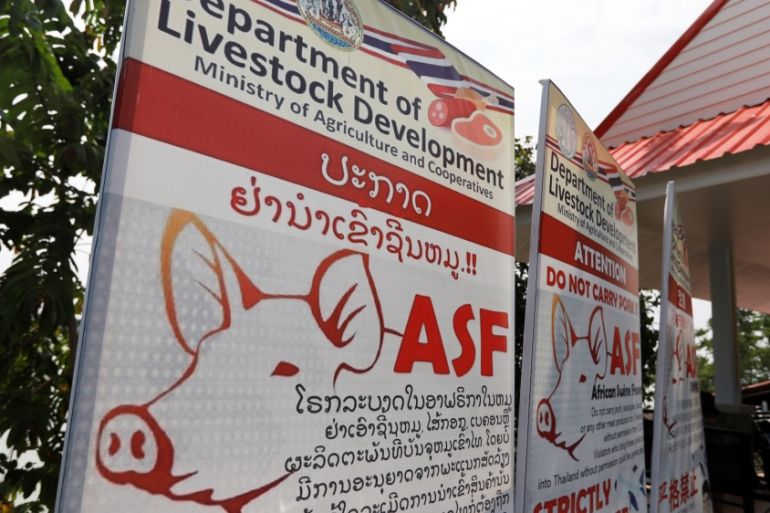 Public health banners alerting about swine fever is seen in Chiang Rai, Thai side of the Golden Triangle, triple border between Thailand, Myanmar and Laos separated by Mekong river