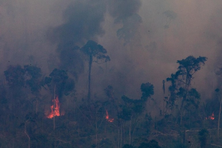 Record Number Of Fires Torch Brazil''s Amazon Forest