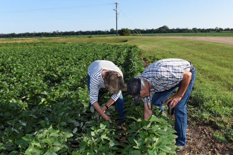 Paul and Vanessa Kummer check soybeans near Colfax, North Dakota