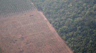 Deforested Amazon