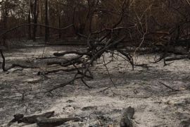 Paraguay fires