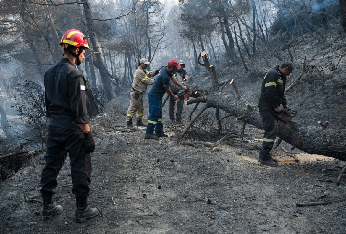 Firefighters remove burnt trees after a wildfire near the village of Makrimalli, on the Greek Evia island on August 14, 2019. - Hundreds of villagers were evacuated on August 13 and the Greek prime mi