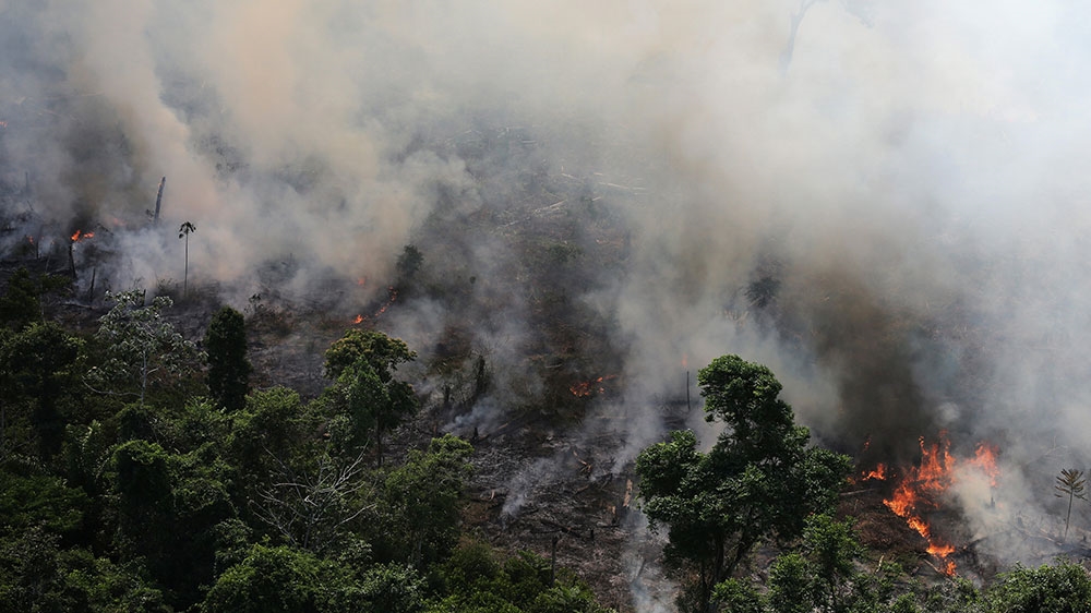 Amazon wildfire 