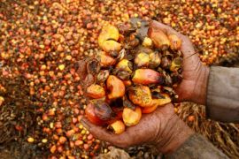 Malaysia and Indonesia are the world&#39;s two largest producers of palm oil [File: Akbar Tado/Antara Foto via Reuters]
