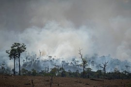 Fire consumes an area in Altamira, Brazil, Tuesday, Aug. 27, 2019. Brazil insisted on Tuesday that it would set conditions for accepting any aid from the world’s richest nations to help fight Amazon f
