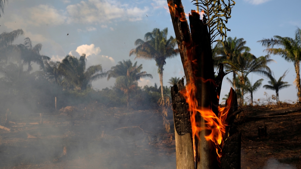 A tract of Amazon jungle is seen burning as it is being cleared by loggers and farmers in Iranduba, Amazonas state, Brazil August 20, 2019