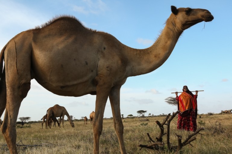 Somalia camel trader - Zamzam Yusuf Olad