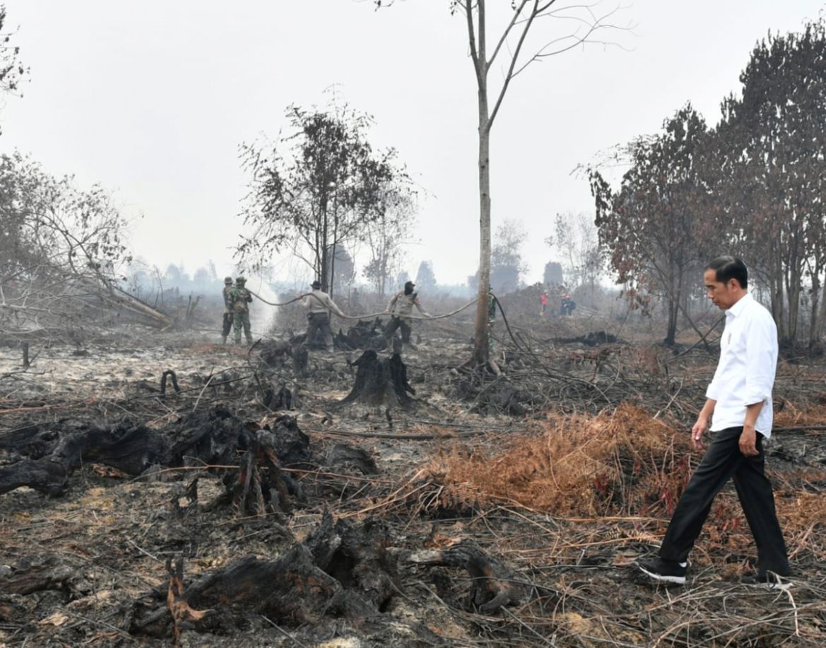 In this photo released by Indonesian Presidential Secretariat, Indonesian President Joko Widodo walks on a burnt forest as firefighters are seen spraying water to extinguish the remaining fire in Pela