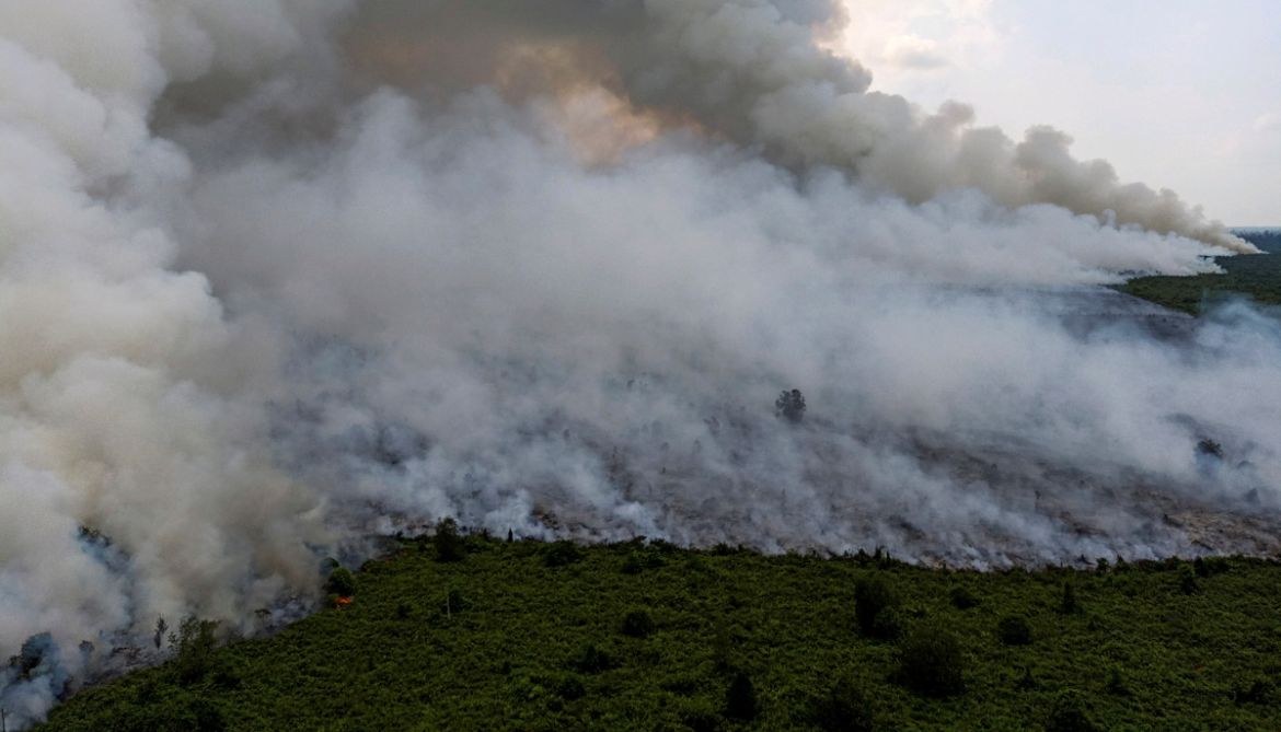 Smoke billows during a land fire in Musi Banyuasin near Palembang, South Sumatra province, Indonesia, August 14, 2019 in this photo taken by Antara Foto. Antara Foto/Nathan/ via REUTERS