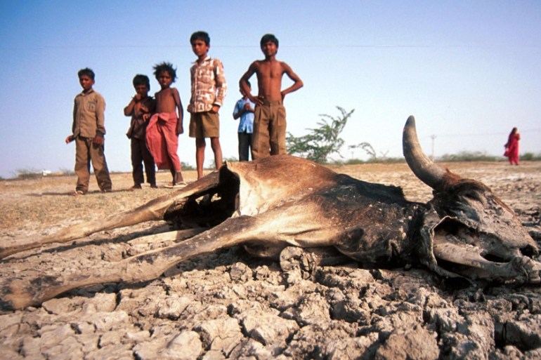 India drought Rajasthan BB
