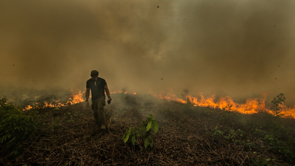 Paul Rosolie, Amazon expert in burning forest Peru - Nadine Cheaib story 