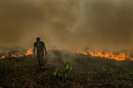 Paul Rosolie, Amazon expert in burning forest Peru - Nadine Cheaib story