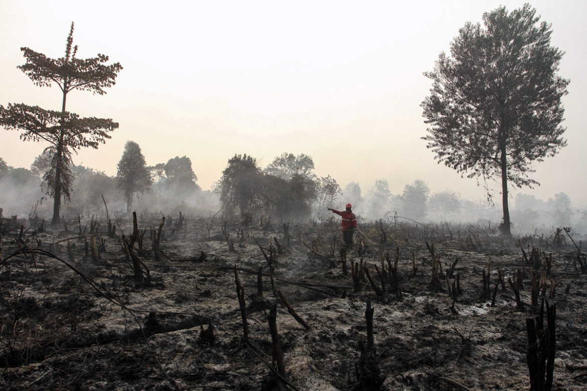 A fireman inspects burned land in Kampar, Riau province, Indonesia, 10 September 2019. According to media reports, Indonesian authorities prepares for more land fires in Sumatra and Borneo island that