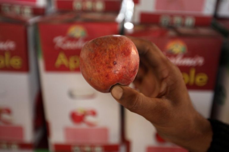 A worker displays a rotten apple at a warehouse, in Sopore, north Kashmir, September 13, 2019