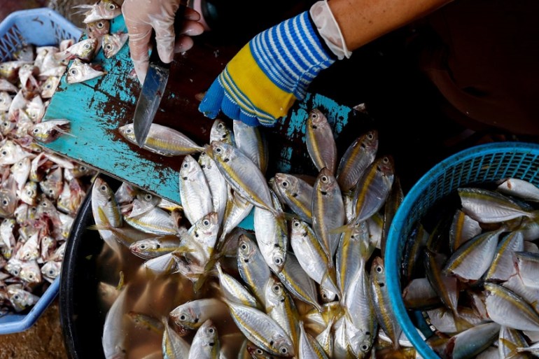 A woman works on fish before they are delivered to Anurak Sareuthai
