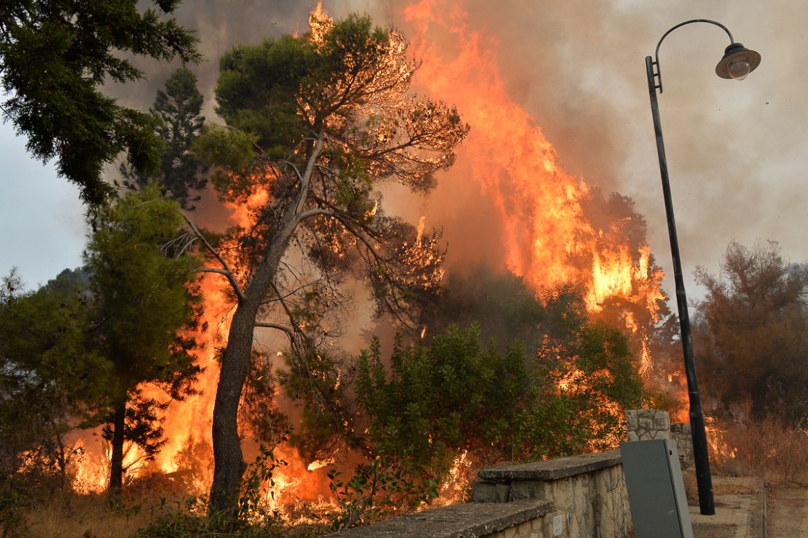 A view of bushfires in Mechref area south Beirut, Lebanon, 15 October 2019. According to reports, 18 Lebanese people were admitted to hospitals for treatment following multiple wildfires that began ea