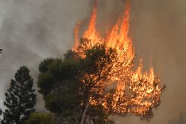 A tree burns in Mechref south Beirut, Lebanon, 15 October 2019. According to reports, 18 Lebanese people were admitted to hospitals for treatment following multiple wildfires that began early on 14 Oc