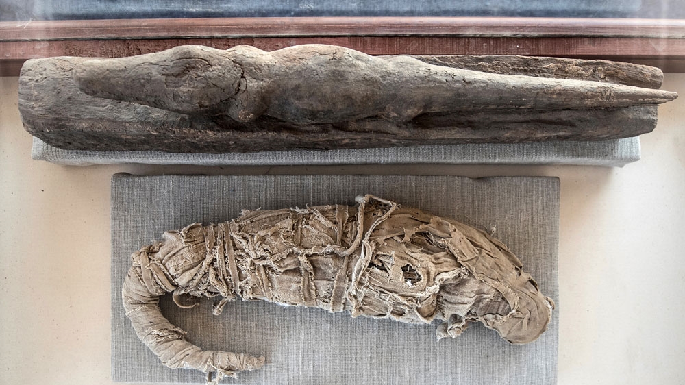 Egypt mummies