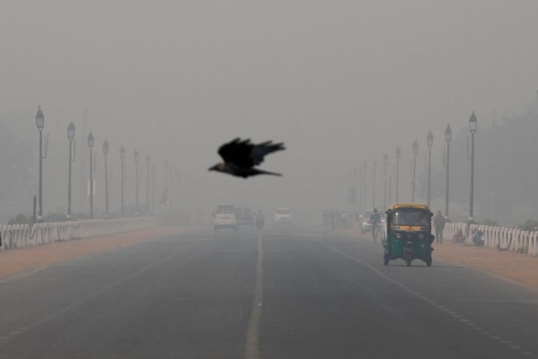 A bird flies amidst smog near India''s Presidential Palace in New Delhi