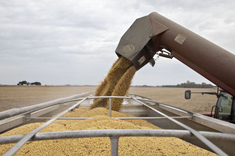 Soybean harvest US (Bloomberg)