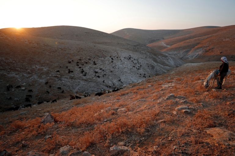Palestinian man stands next to his donkey as he herds animals in Jordan Valley in the Israeli-occupied West Bank