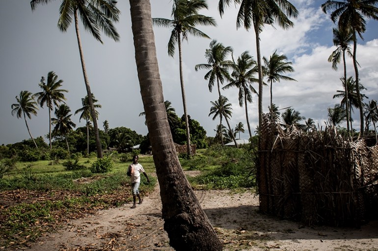 A boy from the village of Quitupo walks past palm trees in Palma on February 16, 2017. - The village of Quitupo will be resettled to make way for the new gas mining project in and around the district